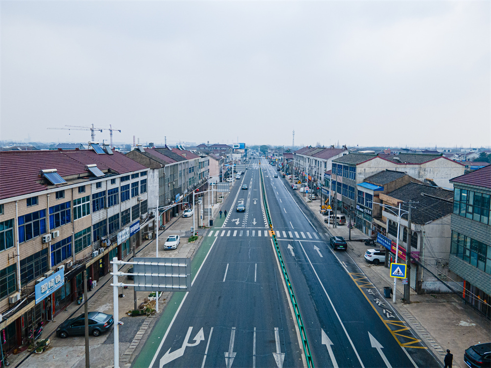 泰村路（徐家湾路-泰来路）道路交通设施及电子警察工程